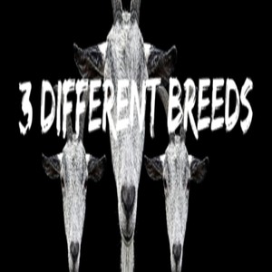3 Differnt Breeds (feat. 3xBam) (Explicit)