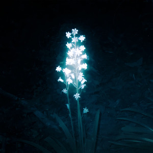aphelion