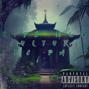 So Fly (feat. NitchBaybeee) (Explicit)