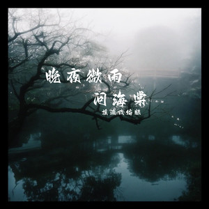 晚夜微雨问海棠 (摇滚改编版)