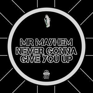 Never Gonna (feat. Mr Mayhem)