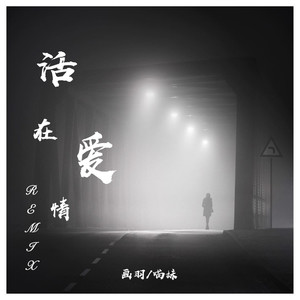 活在爱情Remix