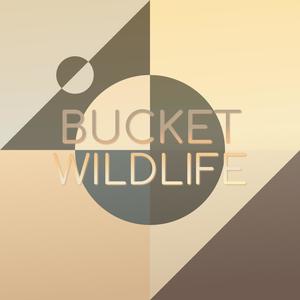 Bucket Wildlife