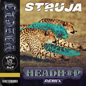 Struja (Headhop Remix)