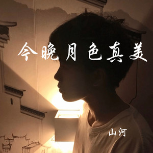 今晚月色真美