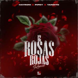 12 Rosas Rojas