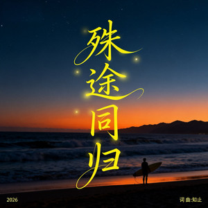 殊途同归封面