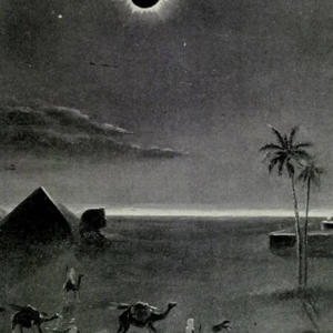 Everybody (Explicit)