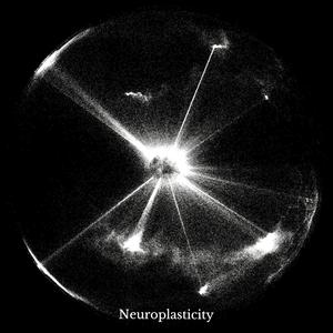 Neuroplasticity