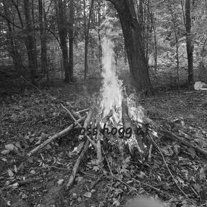 Roll on black kenworth