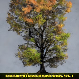 Best known classical music songs, Vol. 1 (Explicit)