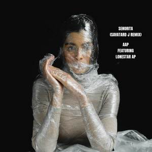 Senorita (saVaTard J Remix|Explicit)