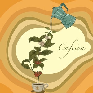 Cafeína