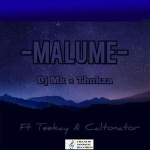 Malume (feat. Teekay RSA & Caltonator) [Explicit]