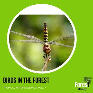 Birds in the Forest - Tropical Nature Sounds, Vol. 7