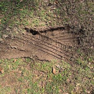 Lifeless in La (Explicit)