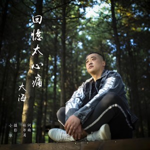 回忆太心痛 (DJheap 九天版)