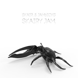 Skairy Jam. (Original Mix)