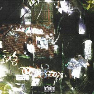 Birds // Kant Sleep (Explicit)