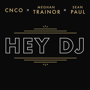 Hey DJ (Remix)