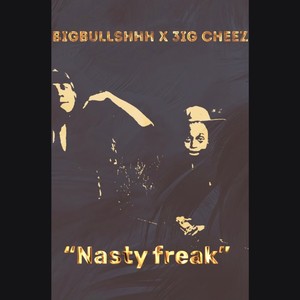 Nasty Freak (feat. 3ig Cheez) [Explicit]