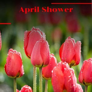 April Shower