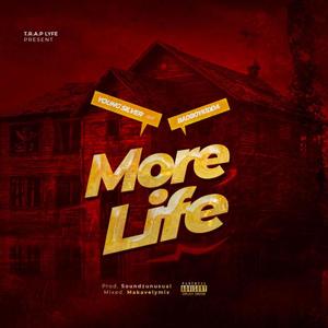 More Life (feat. Badboykidda) (Explicit)