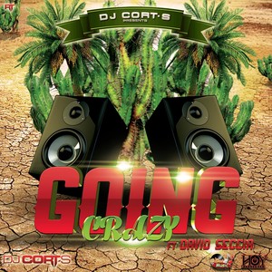 Going Crazy[feat. David Seccia] (Extended Mix)