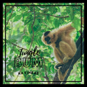 Jungle Bum