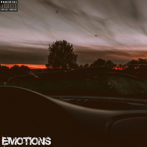 Emotions (Explicit)