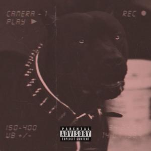 Big Dogs (feat. Yurdy, iJay & Cyzz) (Explicit)