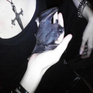 CozyFeka - vampiro (Explicit)