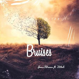 Bruises (feat. Jmar3hunna) [Explicit]