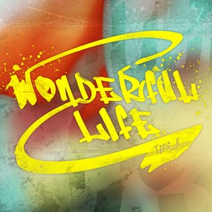 Wonderful Life