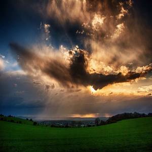 Feel the Rain