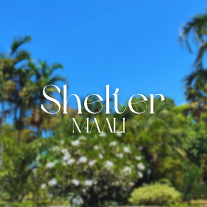 Shelter