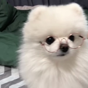 都不懂