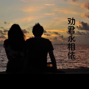 劝君永相依 (王艺涛版)