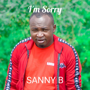 I'm Sorry