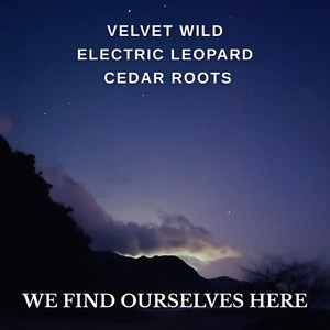 We Find Ourselves Here