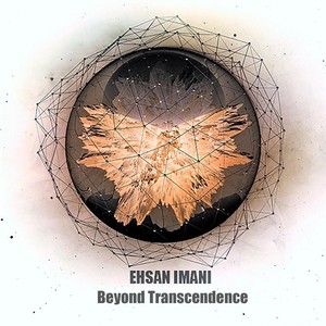 Beyond Transcendence