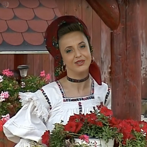 Auzit-Am Din Bătrâni