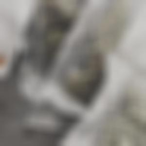 **** addict (feat. misaku foxx) (Explicit)