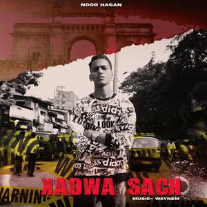 Kadwa Sach (feat. Waynem)