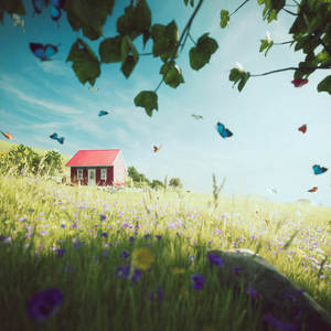 Summer of Rockets (feat. Michael McConville)