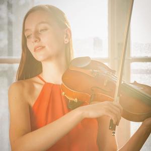 Blank Space (Violin cover)