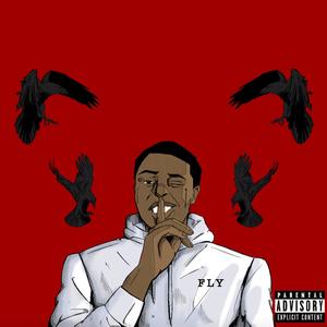 FLY (Explicit)