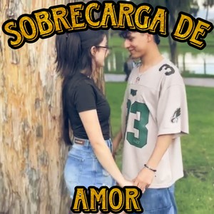 Sobrecarga De Amor