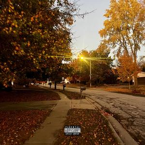 Like You Do (Explicit)