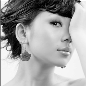 冰封的平原 (琵琶 纯音乐)